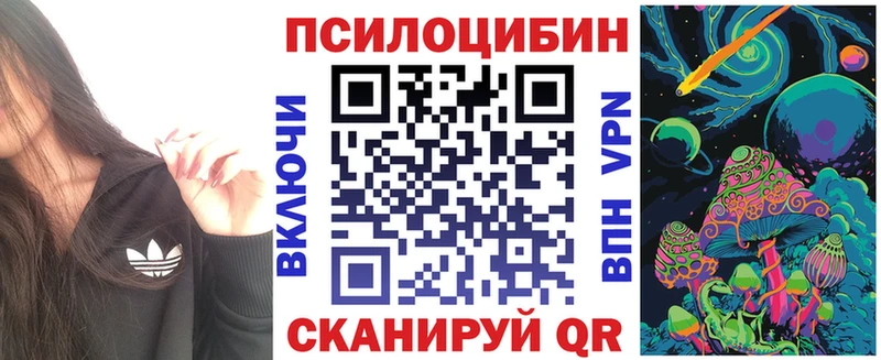 гидра ТОР  Зарайск  Псилоцибиновые грибы Cubensis 